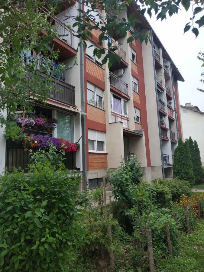 Apartman Ivan Vrdnik Exterior foto
